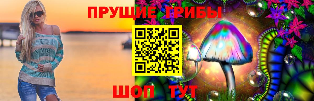 Псилоцибиновые грибы Magic Shrooms  Вход с VPN  Новодвинск 